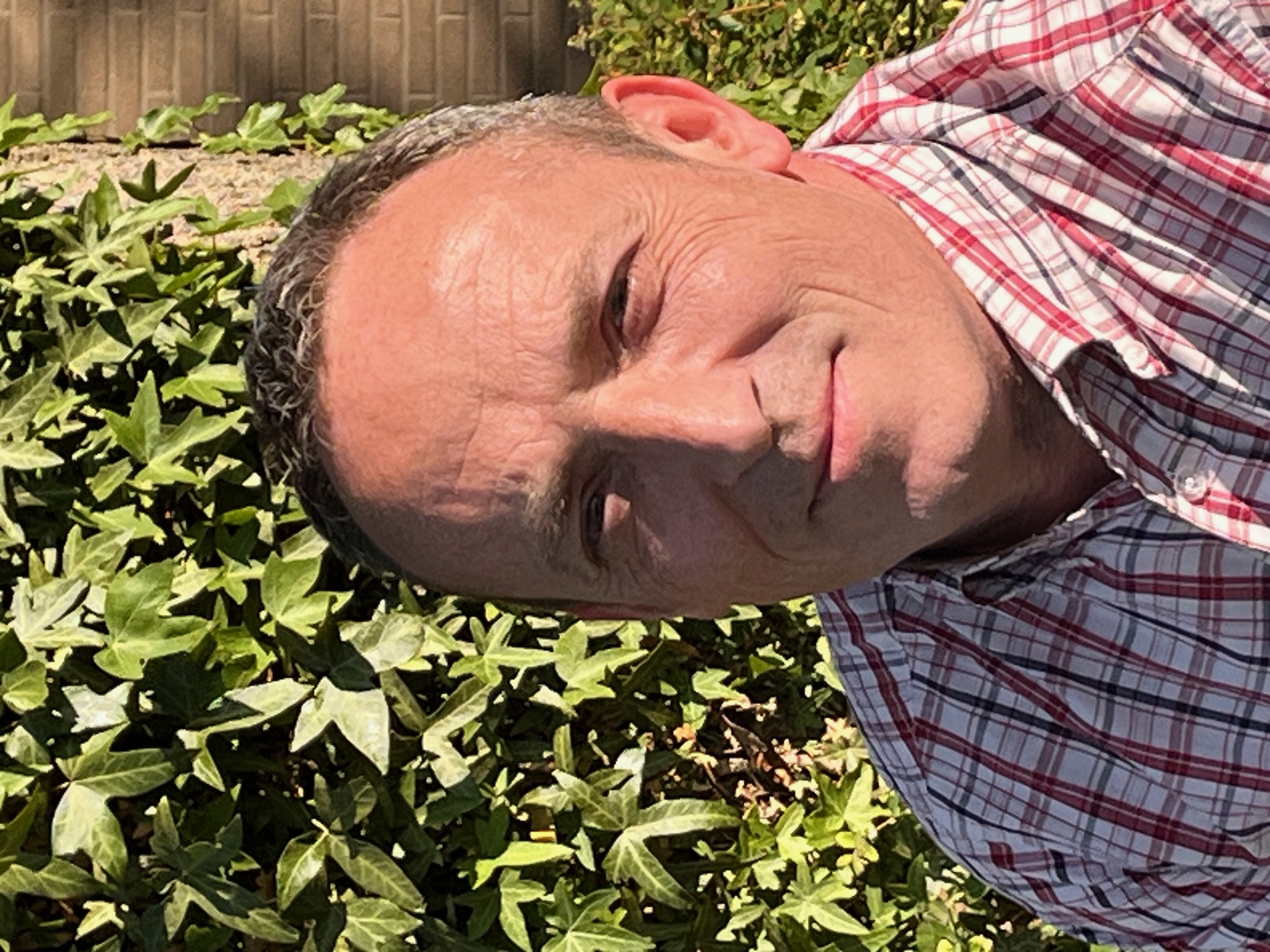 bestuurslid erwin ruyssen